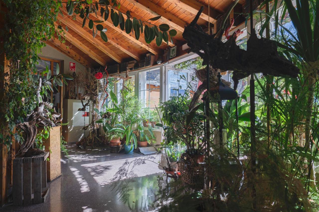Hotel Cardos Ribera de Cardós Dış mekan fotoğraf